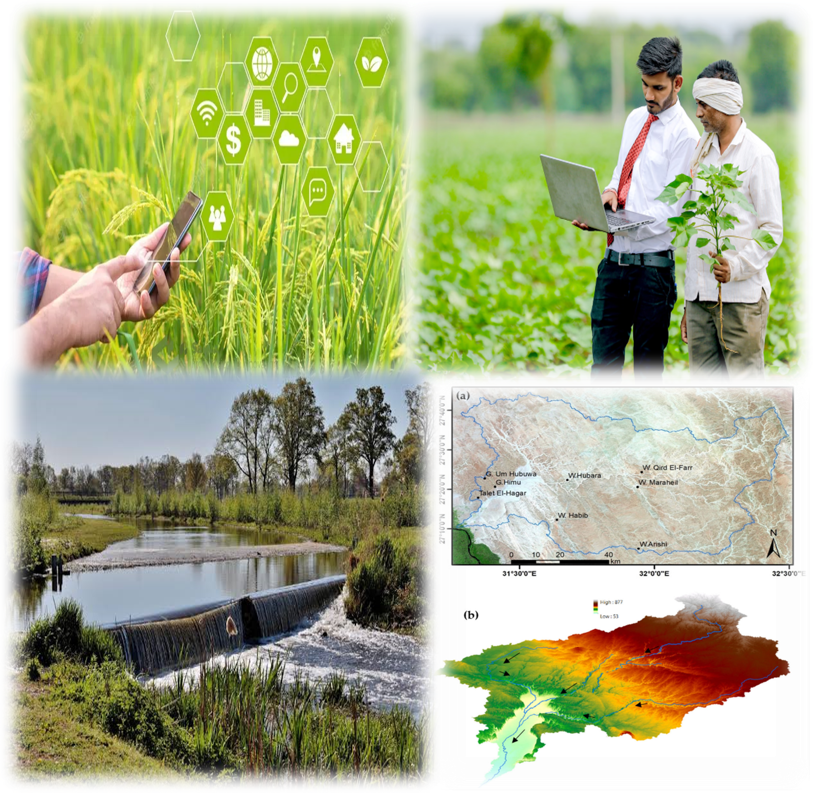 Agriculture and Precision Farming